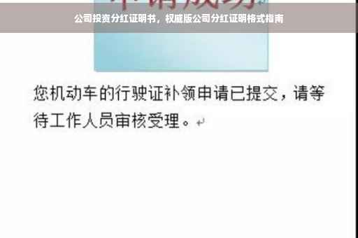 公司投资分红证明书，权威版公司分红证明格式指南
