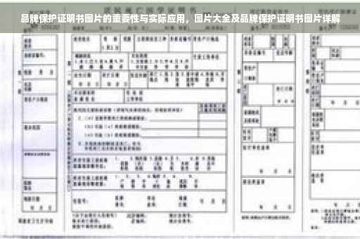 品牌保护证明书图片的重要性与实际应用，图片大全及品牌保护证明书图片详解