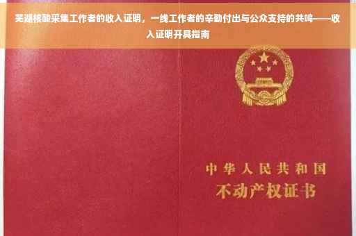 芜湖核酸采集工作者的收入证明，一线工作者的辛勤付出与公众支持的共鸣——收入证明开具指南
