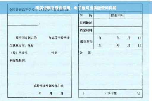 疾病证明书查看指南，电子版与纸质版查询详解