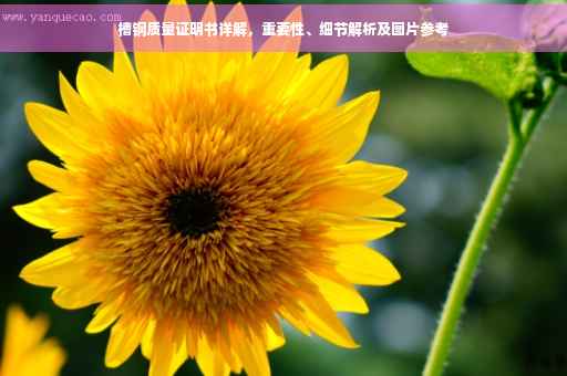 槽钢质量证明书详解，重要性、细节解析及图片参考