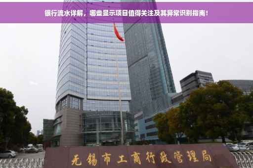 银行流水详解，哪些显示项目值得关注及其异常识别指南！