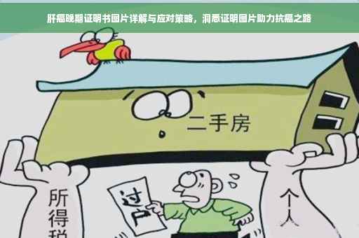 肝癌晚期证明书图片详解与应对策略，洞悉证明图片助力抗癌之路