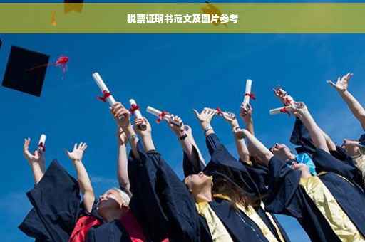 税票证明书范文及图片参考