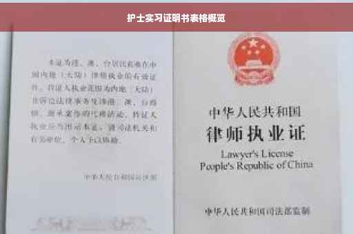 护士实习证明书表格概览