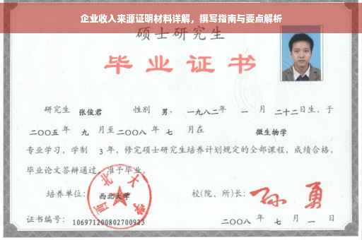 企业收入来源证明材料详解，撰写指南与要点解析