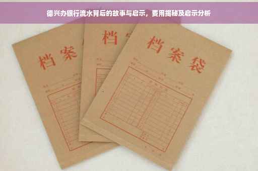 德兴办银行流水背后的故事与启示，费用揭秘及启示分析
