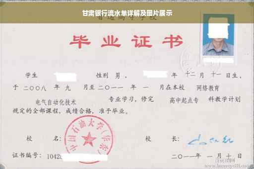 甘肃银行流水单详解及图片展示