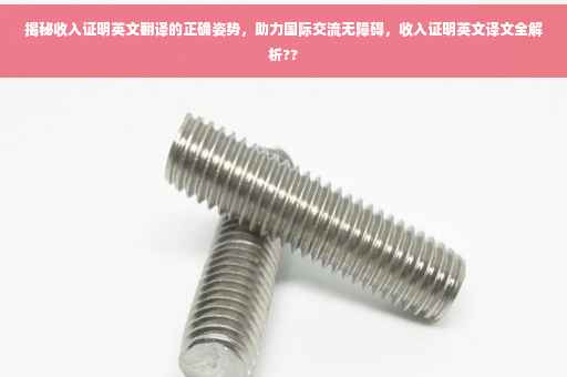 揭秘收入证明英文翻译的正确姿势，助力国际交流无障碍，收入证明英文译文全解析??