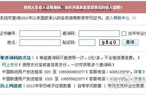 农村人员收入证明揭秘，如何开具真实繁荣背后的收入证明？