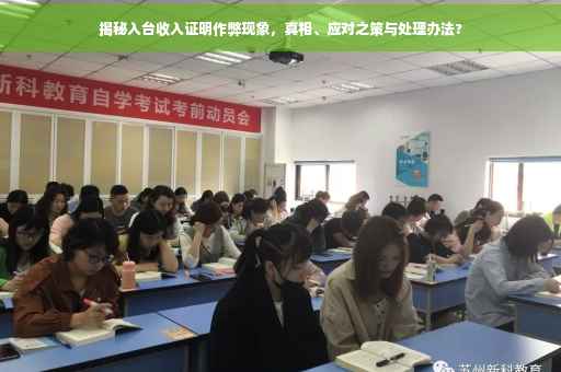 揭秘入台收入证明作弊现象，真相、应对之策与处理办法?