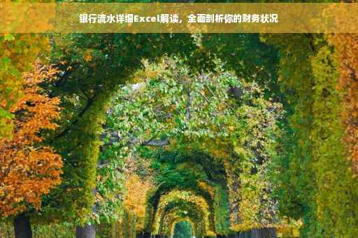银行流水详细Excel解读，全面剖析你的财务状况
