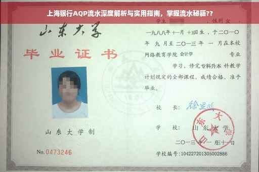 上海银行AQP流水深度解析与实用指南，掌握流水秘籍??