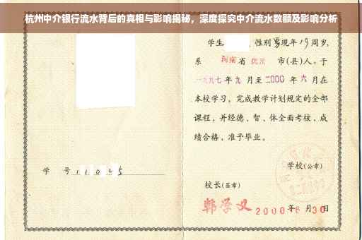 杭州中介银行流水背后的真相与影响揭秘，深度探究中介流水数额及影响分析