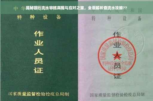 揭秘银行流水审核真相与应对之策，全面解析查流水攻略??