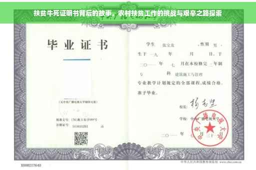 扶贫牛死证明书背后的故事，农村扶贫工作的挑战与艰辛之路探索
