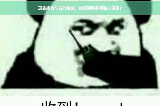 现实挑战与应对策略，如何顺利开具收入证明？