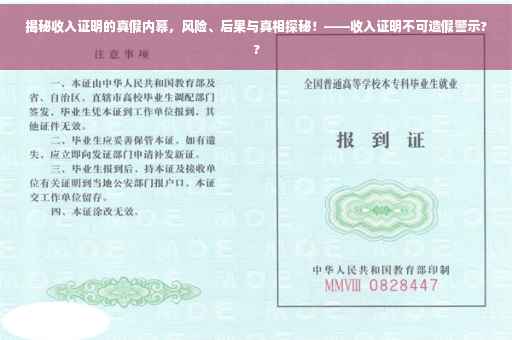 揭秘收入证明的真假内幕，风险、后果与真相探秘！——收入证明不可造假警示??