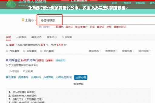 低保银行流水频繁背后的故事，多重挑战与应对策略探索?
