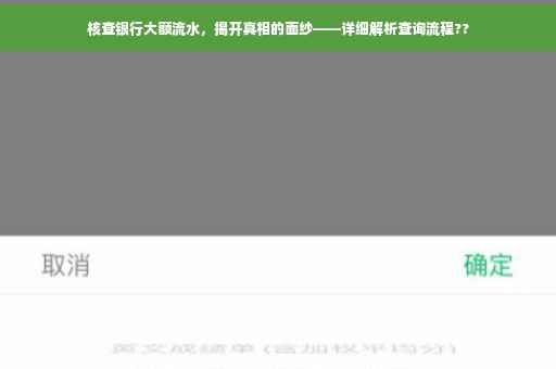 核查银行大额流水，揭开真相的面纱——详细解析查询流程??