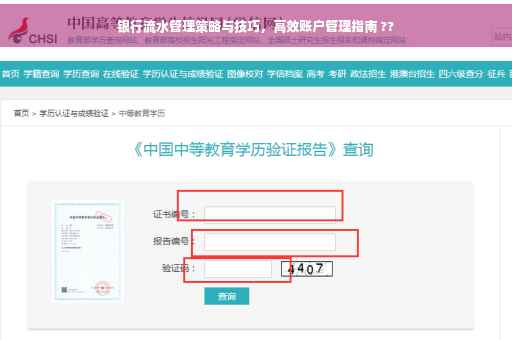 银行流水管理策略与技巧，高效账户管理指南 ??