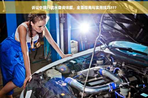 诉讼中银行流水查询详解，全面指南与实用技巧???