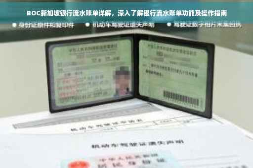BOC新加坡银行流水账单详解，深入了解银行流水账单功能及操作指南