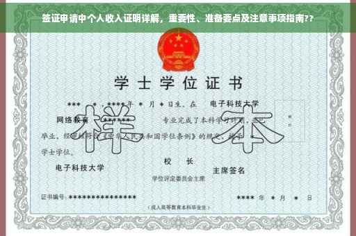 签证申请中个人收入证明详解，重要性、准备要点及注意事项指南??