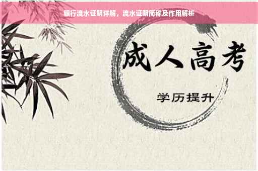 银行流水证明详解，流水证明简称及作用解析