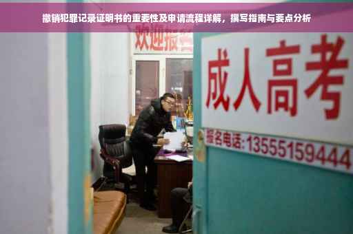 撤销犯罪记录证明书的重要性及申请流程详解，撰写指南与要点分析