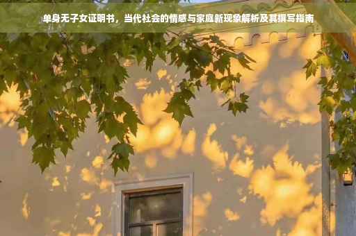 单身无子女证明书，当代社会的情感与家庭新现象解析及其撰写指南