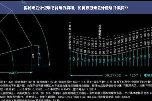 揭秘无会计证明书背后的真相，如何获取无会计证明书详解??