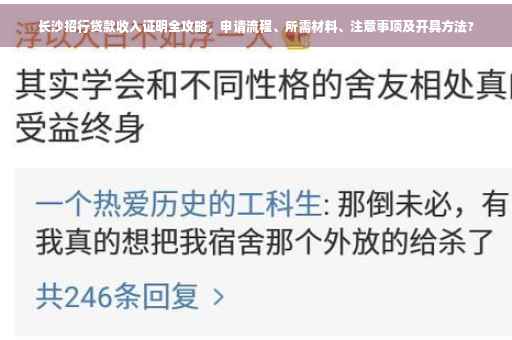 长沙招行贷款收入证明全攻略，申请流程、所需材料、注意事项及开具方法?
