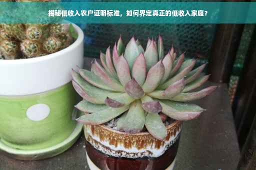 揭秘低收入农户证明标准，如何界定真正的低收入家庭？