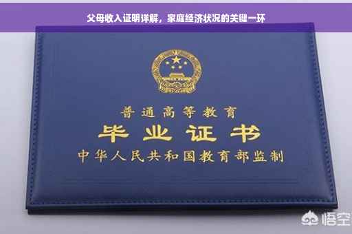 父母收入证明详解，家庭经济状况的关键一环