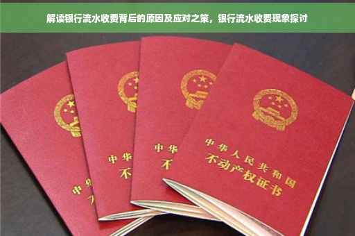 解读银行流水收费背后的原因及应对之策，银行流水收费现象探讨