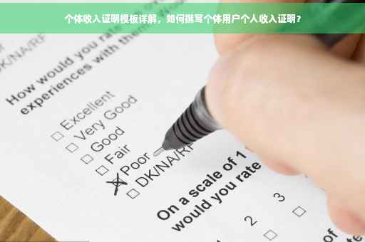 个体收入证明模板详解，如何撰写个体用户个人收入证明？