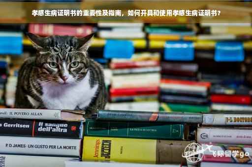 孝感生病证明书的重要性及指南，如何开具和使用孝感生病证明书？