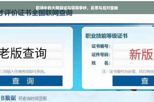 职场中的大胆尝试与领导争吵，反思与应对策略