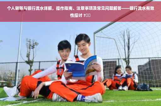 个人转账与银行流水详解，操作指南、注意事项及常见问题解答——银行流水有效性探讨 ?⚡️