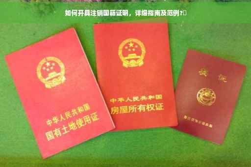 如何开具注销国籍证明，详细指南及范例?✨