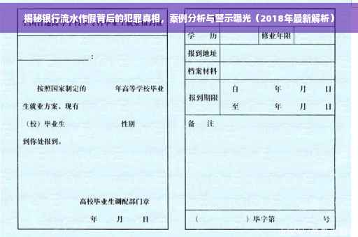 揭秘银行流水作假背后的犯罪真相，案例分析与警示曝光（2018年最新解析）