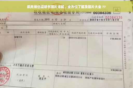 肌肉挫伤证明书图片详解，全方位了解及图片大全 ??