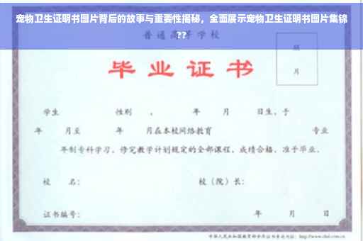 宠物卫生证明书图片背后的故事与重要性揭秘，全面展示宠物卫生证明书图片集锦??