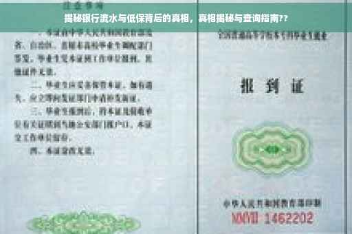 揭秘银行流水与低保背后的真相，真相揭秘与查询指南??