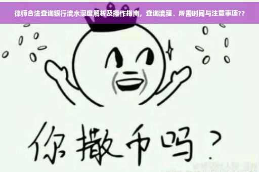 律师合法查询银行流水深度解析及操作指南，查询流程、所需时间与注意事项??