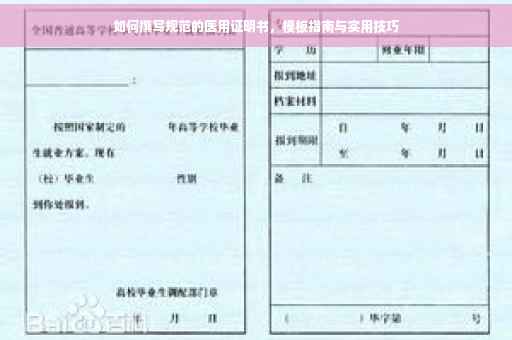 如何撰写规范的医用证明书，模板指南与实用技巧