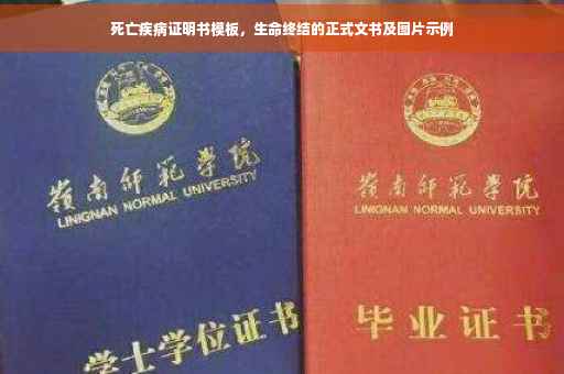 死亡疾病证明书模板，生命终结的正式文书及图片示例
