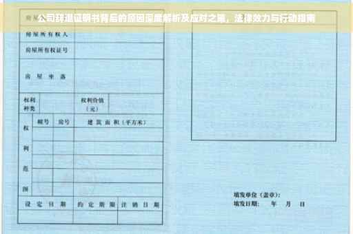 公司辞退证明书背后的原因深度解析及应对之策，法律效力与行动指南