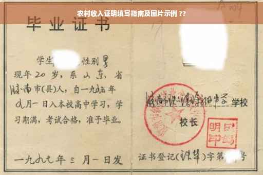 农村收入证明填写指南及图片示例 ??